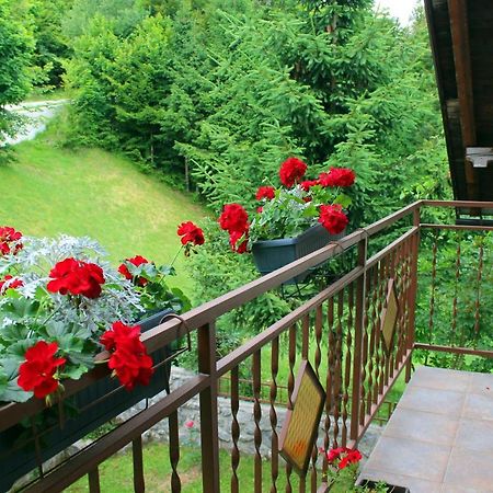 Kuca Za Odmor Cicki Vrh Villa Brestova Draga Exterior foto