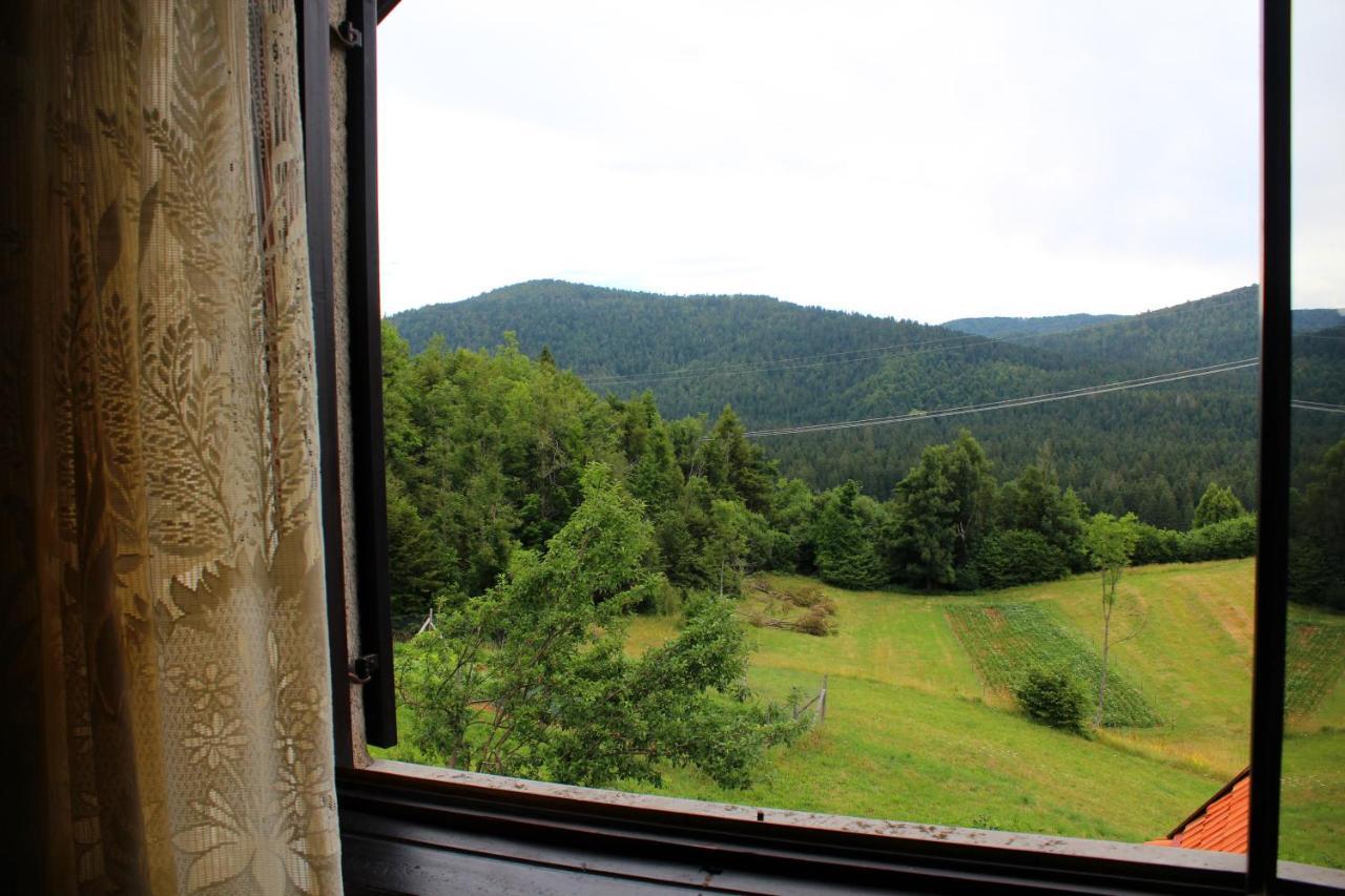 Kuca Za Odmor Cicki Vrh Villa Brestova Draga Exterior foto