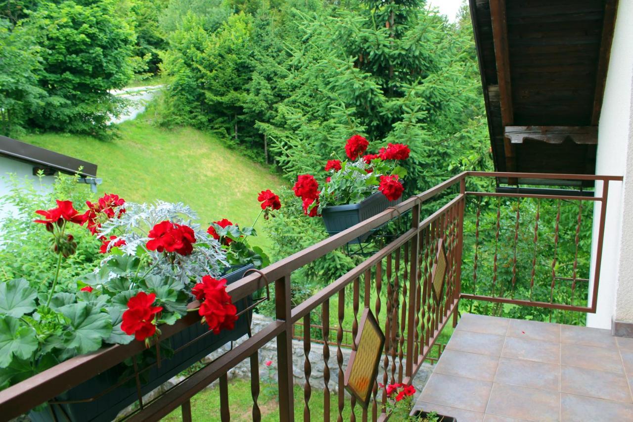 Kuca Za Odmor Cicki Vrh Villa Brestova Draga Exterior foto