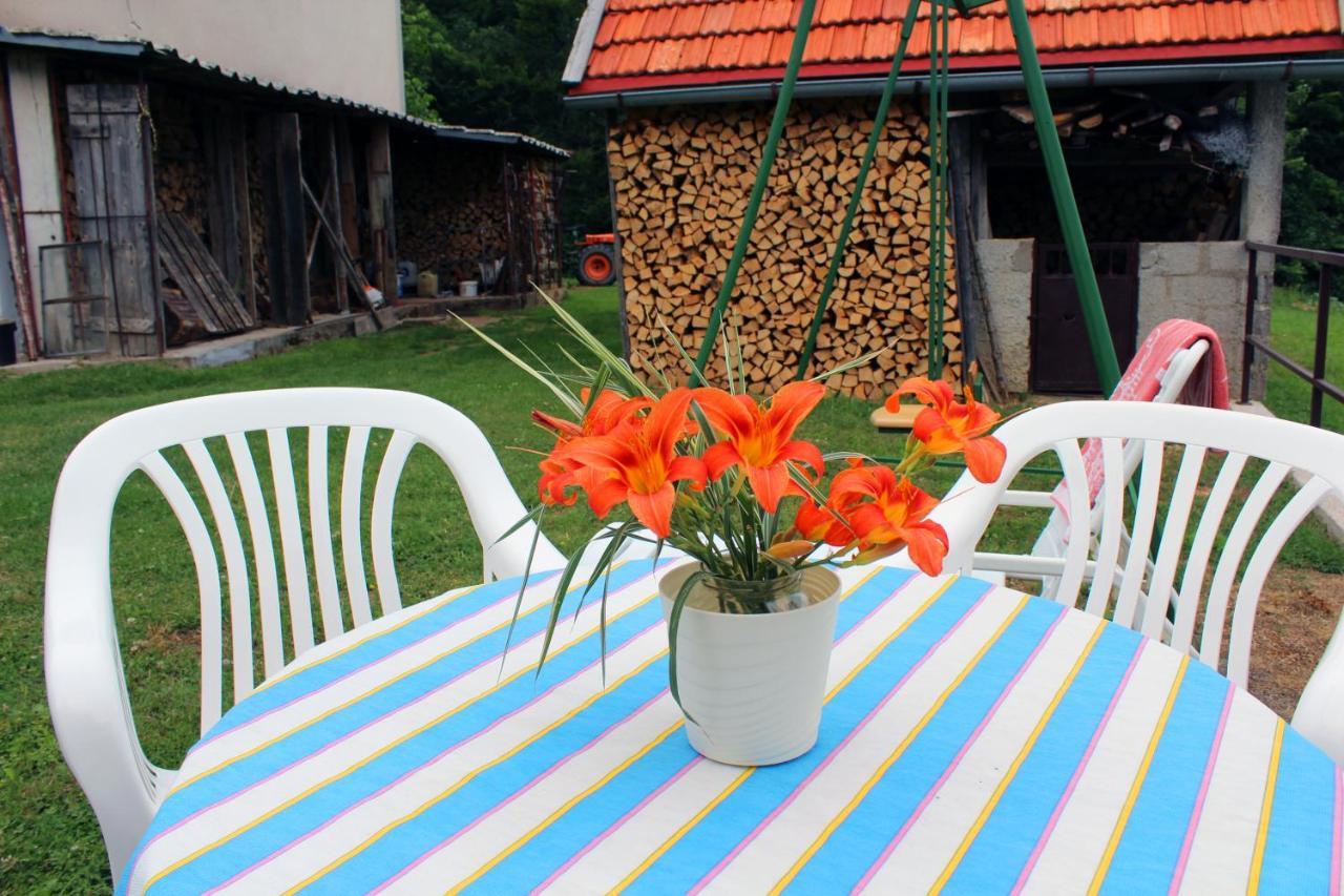 Kuca Za Odmor Cicki Vrh Villa Brestova Draga Exterior foto
